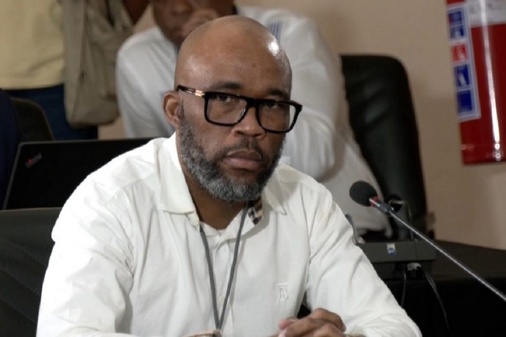 Alleged cartel member &ldquo;Cat&rdquo; Matlala to return to Madlanga Commission